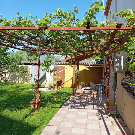 Αυλή της Ελιάς *