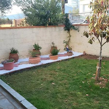 αυλή της ελιάς Prosotsani