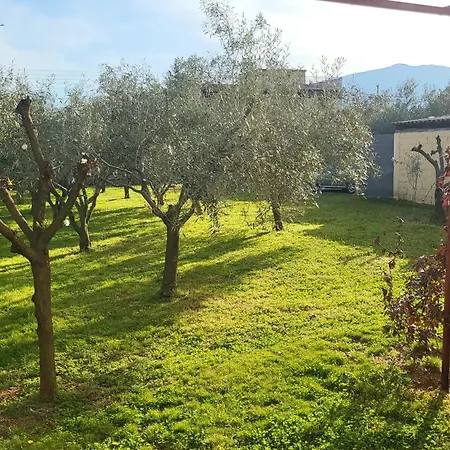بيت للعطل αυλή της ελιάς