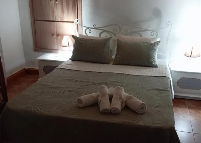 Αυλή Της Ελιάς *