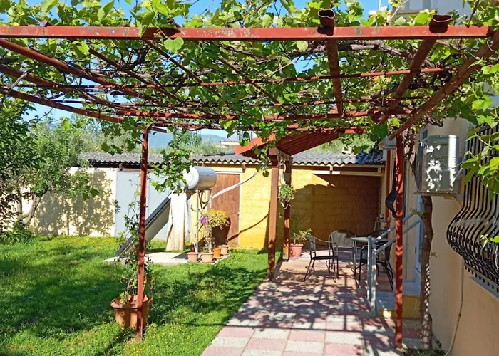 Αυλή Της Ελιάς *