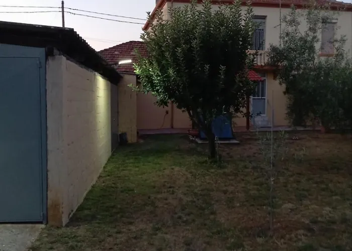 Αυλή Της Ελιάς