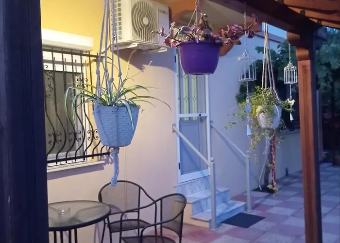 Αυλή Της Ελιάς * Prosotsani