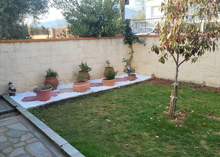 αυλή της ελιάς Prosotsani